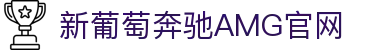 AMG·新葡萄(奔驰)品牌公司-Official website
